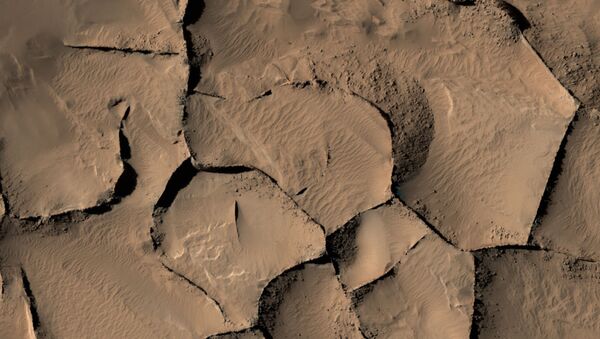 This view shows part of an area on Mars where narrow rock ridges - Sputnik International