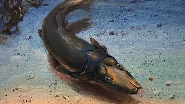 An artist’s impression of Brindabellaspis, a prehistoric Australian platypus-like fish - Sputnik International