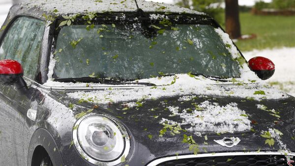 Leaves stripped from a tree by marble-sized hail litter a convertible after a storm packing heavy rains and hail hit , in southeast Denver , Colorado (File) - Sputnik International