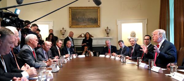 U.S. President Donald Trump participates in a Cabinet meeting, where he discussed immigration policy at the White House in Washington, U.S., June 20, 2018 - Sputnik International