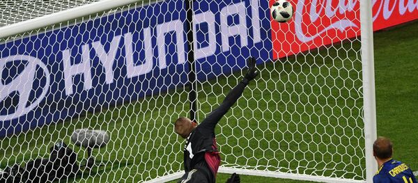 World Cup - Group F - Germany vs Sweden - Fisht Stadium, Sochi, Russia - June 23, 2018 - Sputnik International