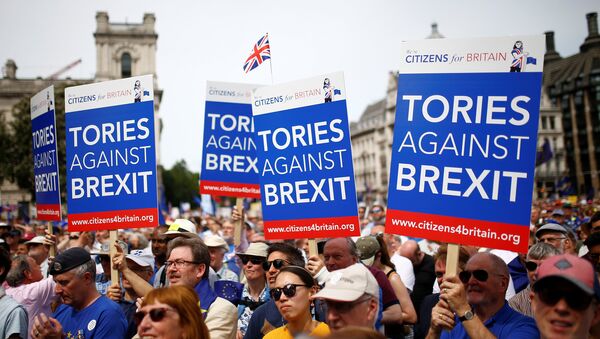 EU supporters, calling on the government to give Britons a vote on the final Brexit deal, listen to a speaker in Parliament Square, after participating in the 'People's Vote' march in central London, Britain June 23, 2018 - Sputnik International