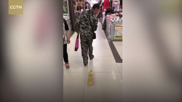 Man walks cute ducklings through shopping center - Sputnik International