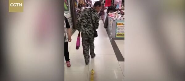 Man walks cute ducklings through shopping center Man walks cute ducklings through shopping center - Sputnik International