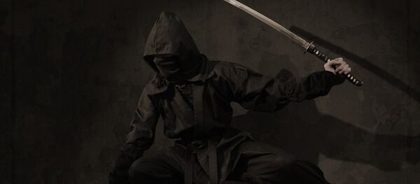 Ninja Ninja - Sputnik International
