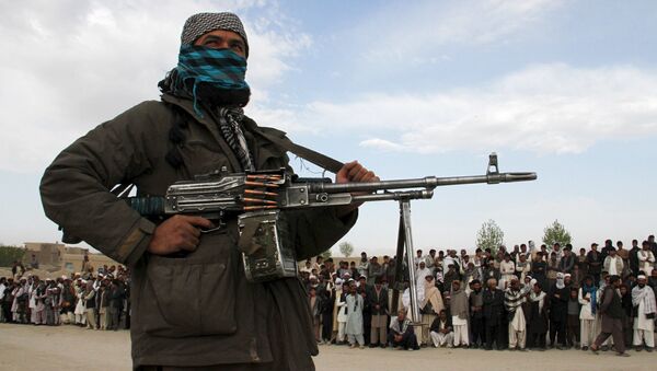 A member of the Taliban insurgent - Sputnik International