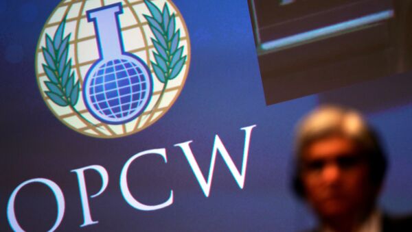 The logo of the Organisation for the Prohibition of Chemical Weapons (OPCW) is seen during a special session in the Hague, Netherlands June 26, 2018 - Sputnik International