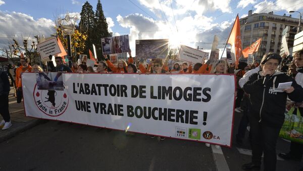 Protesters hold a banner reading The Limoges slaughterhouse, a real butchery! during a demonstration called by animal rights association L214 to protest against animal abuse, notably the slaughtering of pregnant cows, on November 26, 2016, in Limoges, central France - Sputnik International