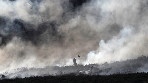 Тушение пожара на болоте у Каррвуда, Великобритания - Sputnik International