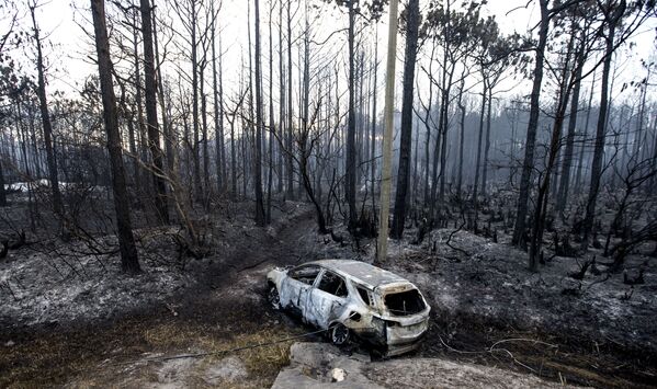 Сгоревший в лесных пожарах автомобиль в придорожной канаве, Флорида - Sputnik International