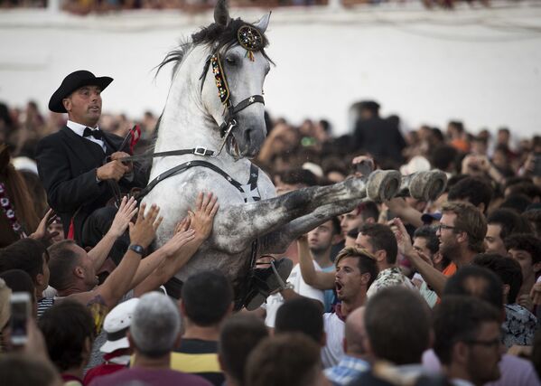 Лошадь с наездником в толпе во время традиционного праздника Сан-Хуан на Балеарском острове Менорка - Sputnik International