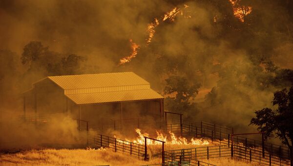 Природный пожар в Гвинде, Калифорния - Sputnik International