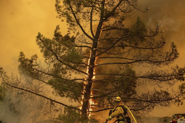 California in Flames: Huge Wildfires Engulf US State's South - Sputnik International