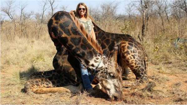 US hunter poses with dead giraffe - Sputnik International