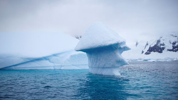 An iceberg floats near Danco Island, Antarctica, Feb. 14, 2018 - Sputnik International