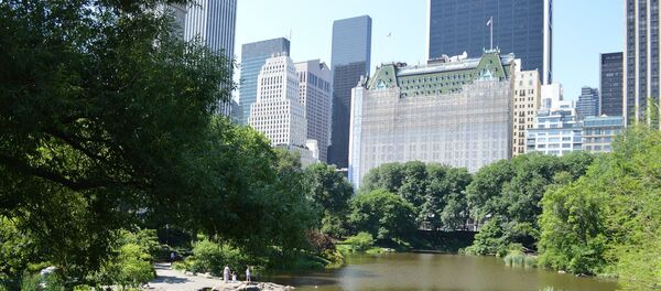 Plaza Hotel, New York City Plaza Hotel, New York City - Sputnik International