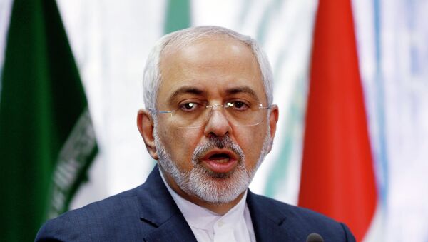 Iranian Foreign Minister Mohammad Javad Zarif speaks during a news conference with Iraqi Foreign Minister - Sputnik International