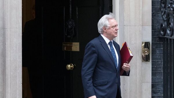 Britain's Secretary of State for Exiting the European Union David Davis - Sputnik International