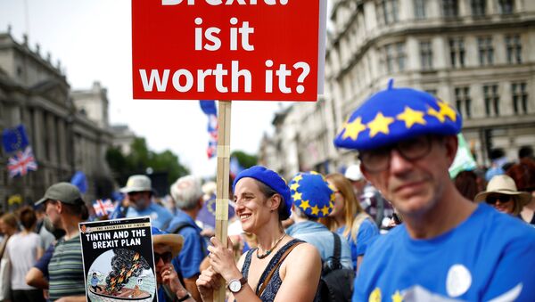 A woman holds a placard as she joins EU supporters, calling on the government to give Britons a vote on the final Brexit deal, participating in the 'People's Vote' march in central London, Britain June 23, 2018 - Sputnik International