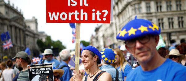 A woman holds a placard as she joins EU supporters, calling on the government to give Britons a vote on the final Brexit deal, participating in the 'People's Vote' march in central London, Britain June 23, 2018 A woman holds a placard as she joins EU supporters, calling on the government to give Britons a vote on the final Brexit deal, participating in the 'People's Vote' march in central London, Britain June 23, 2018 - Sputnik International