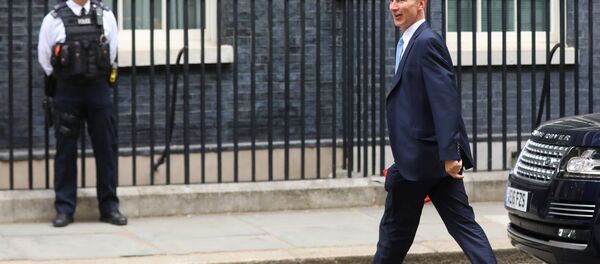 Britain's Secretary of State for Foreign and Commonwealth Affairs Jeremy Hunt arrives in Downing Street for this morning's cabinet meeting in Westminster, London, Britain, July 10, 2018 Britain's Secretary of State for Foreign and Commonwealth Affairs Jeremy Hunt arrives in Downing Street for this morning's cabinet meeting in Westminster, London, Britain, July 10, 2018 - Sputnik International