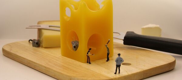 Cheese Cheese - Sputnik International