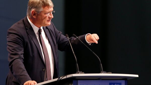 Co-leader of Alternative for Germany (AfD) Joerg Meuthen speaks during the two-day party congress in Augsburg, Germany, June 30, 2018 - Sputnik International