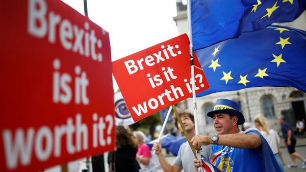 Pro-EU demonstrators wave flags outside the Houses of Parliament in Westminster London, Britain, July 17, 2018 - Sputnik International