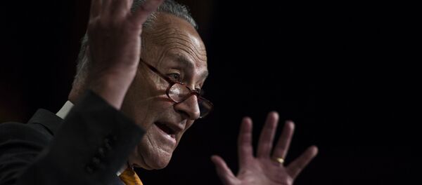 Fraktionschef der US-Demokraten im Kongress Chuck Schumer bei Pressekonferenz zum Gipfeltreffen von Donald Trump und Wladimir Putin Fraktionschef der US-Demokraten im Kongress Chuck Schumer bei Pressekonferenz zum Gipfeltreffen von Donald Trump und Wladimir Putin - Sputnik International