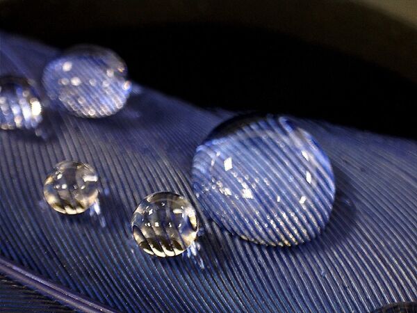 Water drops under increase in a stereomicroscope - Sputnik International