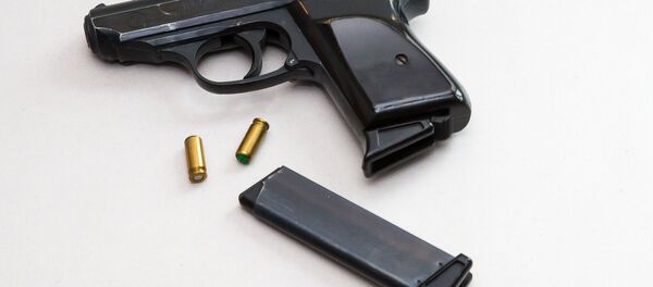 Gun and bullets - Sputnik International