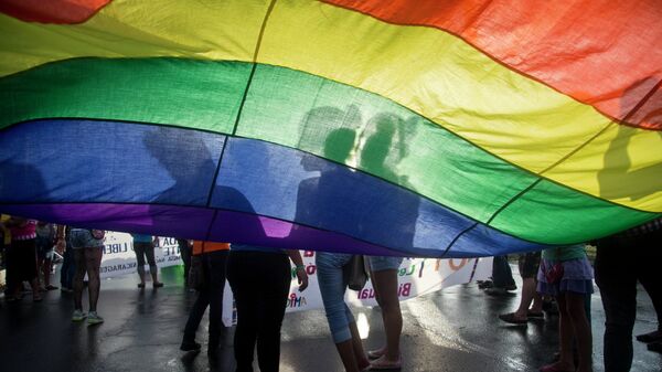 Members of the LGBT movement hold a gay pride flag - Sputnik International