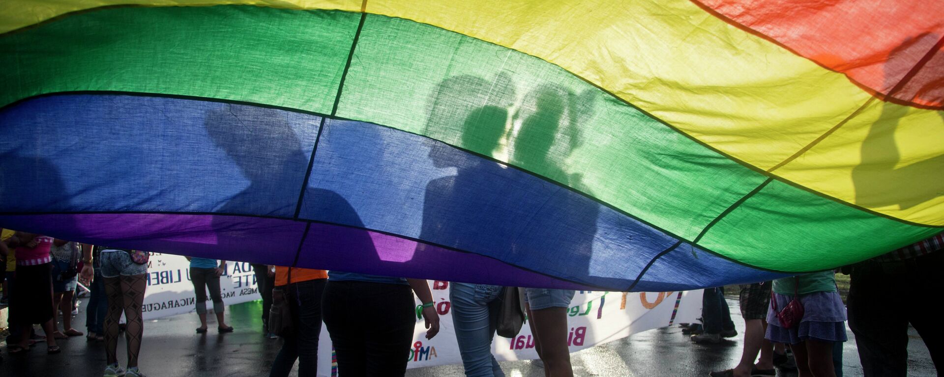 Members of the LGBT movement hold a gay pride flag - Sputnik International, 1920, 02.08.2021