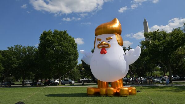 An inflatable chicken mimicking US President Donald Trump is set up on The Ellipse, a 52-acre (21-hectare) park located just south of the White House and north of the Washington Monument (rear) - Sputnik International
