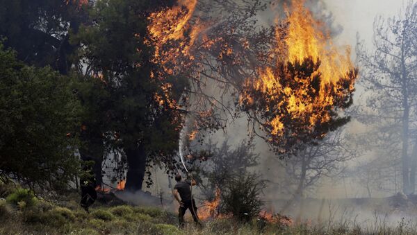 (File) A volunteer tries to extinguish a burning tree during a forest fire near Kapandriti north of Athens, Tuesday, Aug. 15, 2017 - Sputnik International