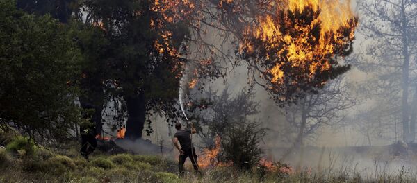 (File) A volunteer tries to extinguish a burning tree during a forest fire near Kapandriti north of Athens, Tuesday, Aug. 15, 2017 (File) A volunteer tries to extinguish a burning tree during a forest fire near Kapandriti north of Athens, Tuesday, Aug. 15, 2017 - Sputnik International