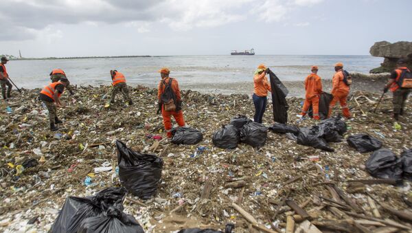 Workers from the Ministry of Public Works and Comunication (MOPC), collect garbage from the beaches of Güibia, Montesino and next to the female Obelisk in the Malecon area, in Santo Domingo on July 16, 2018 - Sputnik International