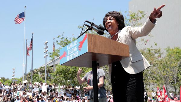 Congresswoman Maxine Waters during a national day of action called Keep Families Together to protest the Trump administration's Zero Tolerance policy in Los Angeles, California, U.S. June 30, 2018 - Sputnik International
