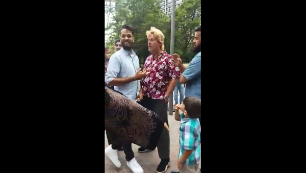 Canadian man verbally assaults Muslim family waiting in line at Toronto's Jack Layton Ferry Terminal - Sputnik International
