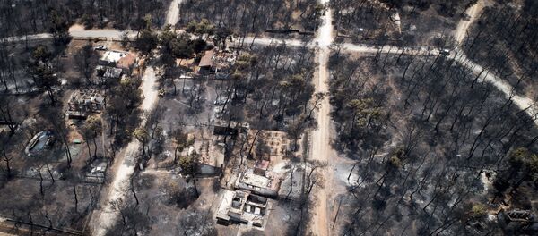 This Wednesday, July 25, 2018 aerial photo shows burnt houses and trees following a wildfire in Mati, east of Athens This Wednesday, July 25, 2018 aerial photo shows burnt houses and trees following a wildfire in Mati, east of Athens - Sputnik International
