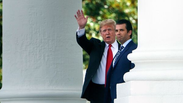 US President Donald Trump (L) and his son Donald Trump, Jr., walk to a motorcade from the North Portico of the White House July 5, 2018 in Washington, DC. - Sputnik International