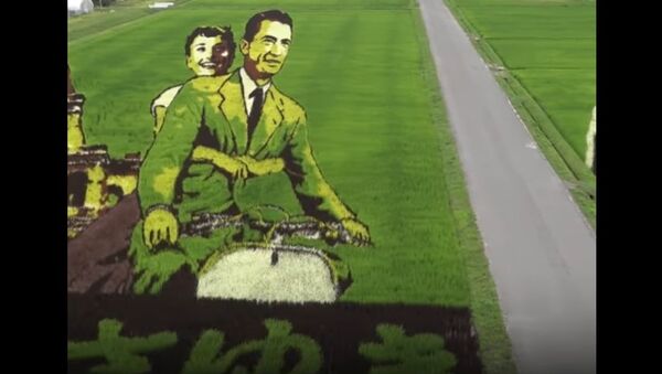 Honoring 'Father' OF Manga With Canvases On Rice Paddies - Sputnik International