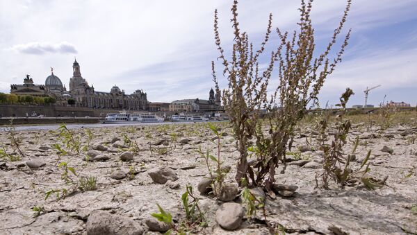 A large part of the Elbe river bed is dried out during a long time of drought in front of the skyline with the Frauenkirche cathedral (Church of Our Lady) in Dresden, Germany, Monday, July 9, 2018.The current water level of the Elbe near Dresden lies at 0,55 meters. - Sputnik International