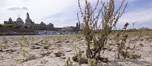 A large part of the Elbe river bed is dried out during a long time of drought in front of the skyline with the Frauenkirche cathedral (Church of Our Lady) in Dresden, Germany, Monday, July 9, 2018.The current water level of the Elbe near Dresden lies at 0,55 meters. A large part of the Elbe river bed is dried out during a long time of drought in front of the skyline with the Frauenkirche cathedral (Church of Our Lady) in Dresden, Germany, Monday, July 9, 2018.The current water level of the Elbe near Dresden lies at 0,55 meters. - Sputnik International