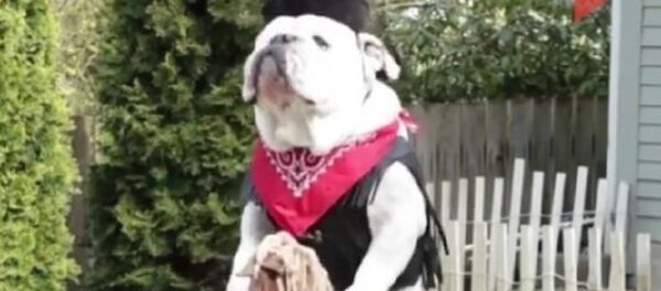 Ride 'em cowboy! - Sputnik International