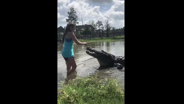 Too Close and Personal: US Woman Feeds 14-Foot Gator - Sputnik International