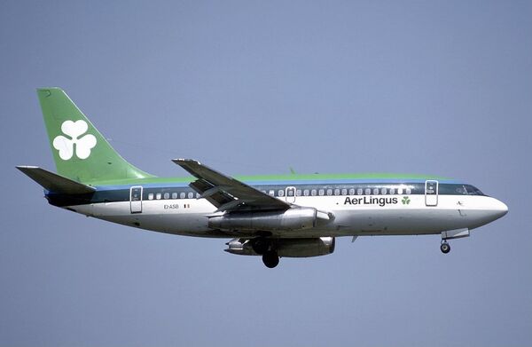 An Aer Lingus Boeing 737 similar to the one hijacked by Downey. An Aer Lingus Boeing 737 similar to the one hijacked by Downey. - Sputnik International