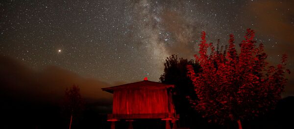 Night Sky Lit by Stunning Perseid Meteor Shower Night Sky Lit by Stunning Perseid Meteor Shower - Sputnik International