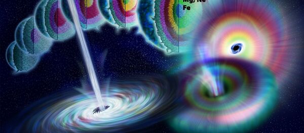 Artist's illustration showing the life of a massive star as nuclear fusion converts lighter elements into heavier ones. When fusion no longer generates enough pressure to counteract gravity, the star rapidly collapses to form a black hole. Artist's illustration showing the life of a massive star as nuclear fusion converts lighter elements into heavier ones. When fusion no longer generates enough pressure to counteract gravity, the star rapidly collapses to form a black hole. - Sputnik International