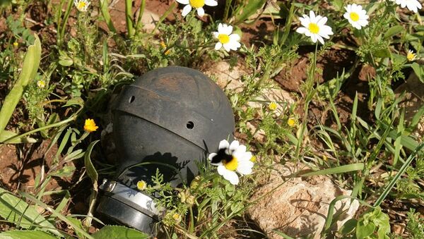 Tear gas canister, Ni'lin - Sputnik International